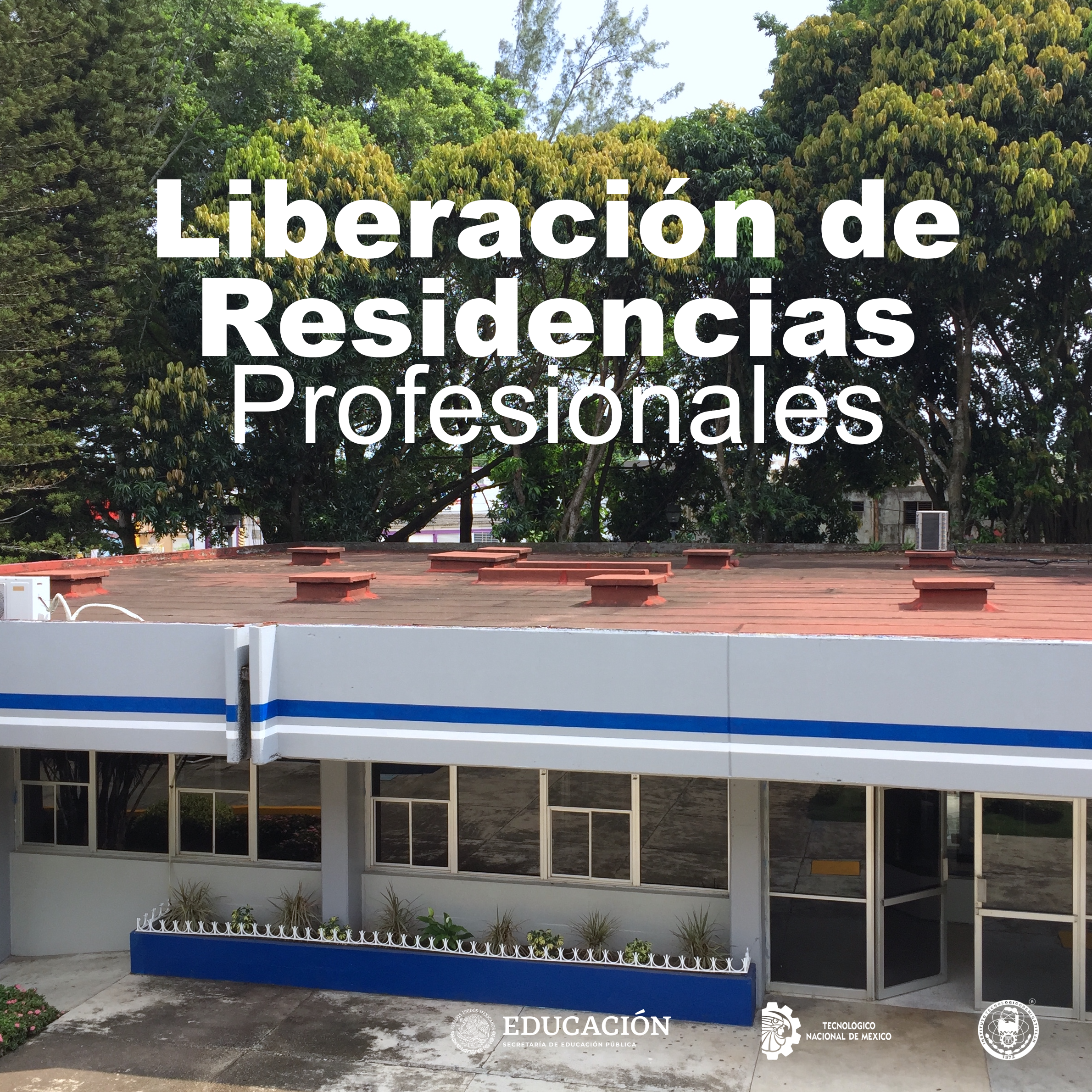 LIBERACIÓN DE RESIDENCIAS PROFESIONALES